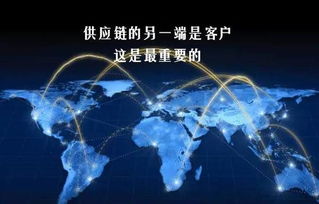 智能物流系統集成 麥德龍供應鏈管理的制勝法寶