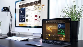 菜百商城電商開發(fā) 品牌推廣 整合營銷 易龍?zhí)? class=