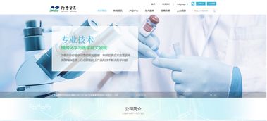 定制搭建醫(yī)療器械電商商城網(wǎng)站建設制作開發(fā)方案與功能明細