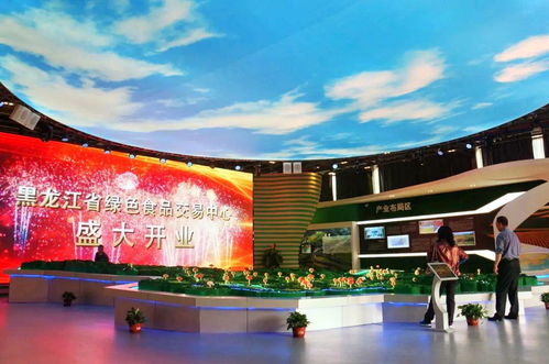 黑龍江 突出產(chǎn)業(yè)品牌 開(kāi)放專業(yè)交易平臺(tái)助力綠色食品產(chǎn)業(yè)發(fā)展