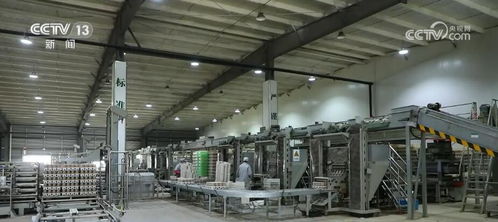 一朵小蘑菇帶動(dòng)千億大產(chǎn)業(yè) 中國(guó)造 裝備助力鄉(xiāng)村振興